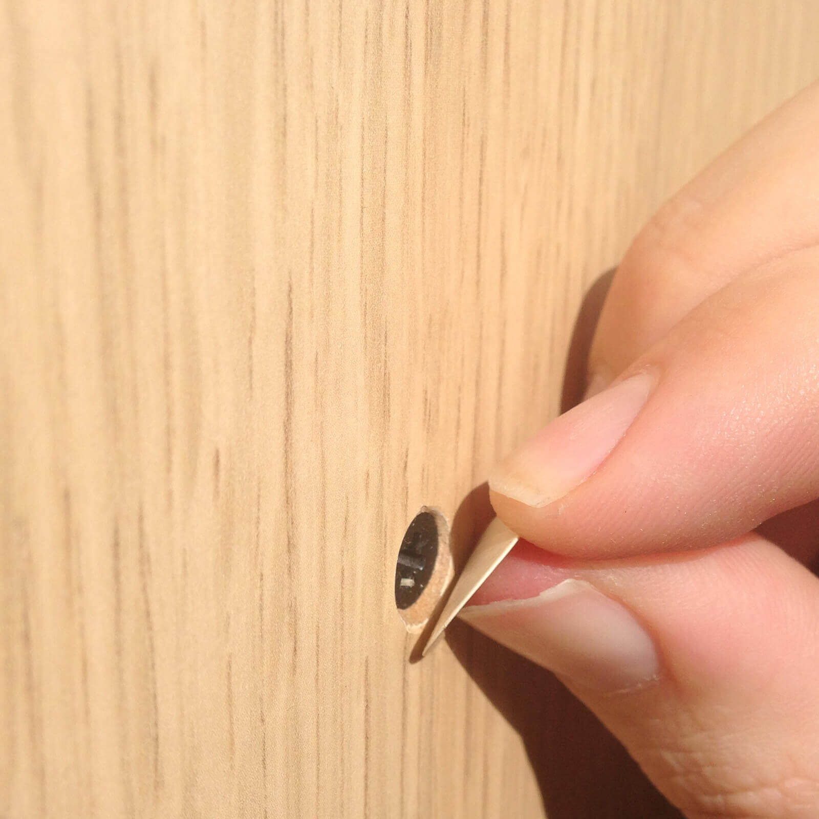 KwikCaps Self Adhesive Screw Cover Caps - Shorewood - Egger H3090 -  Shop Key Blades & Fixings | Workwear, Power tools & hand tools online - Key Blades & Fixings Ltd